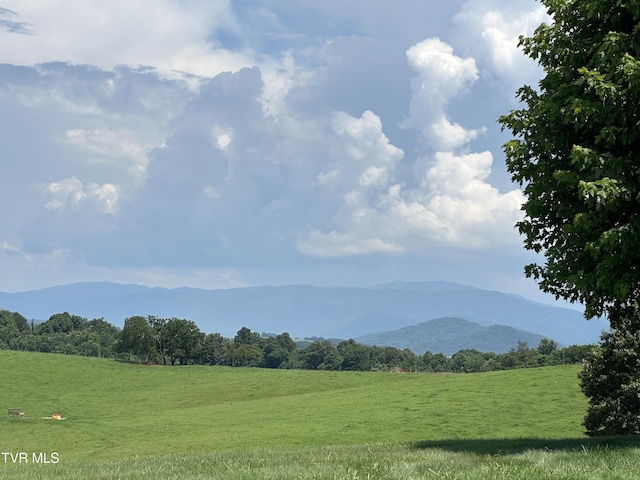 3655 W Allens Bridge Rd, Greeneville, TN 37743 - photo 59