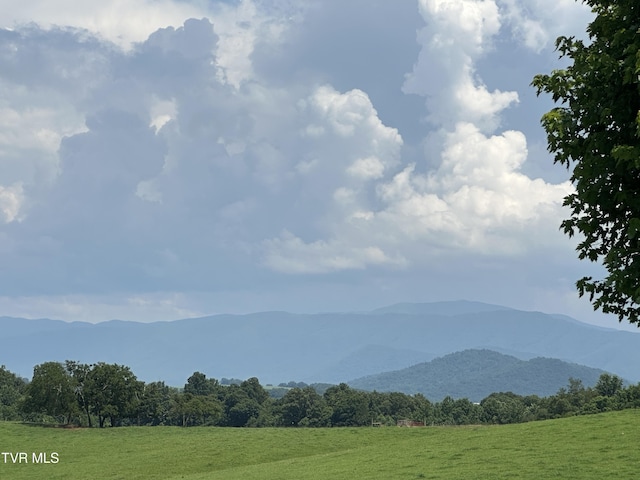 3655 W Allens Bridge Rd, Greeneville, TN 37743 - photo 53