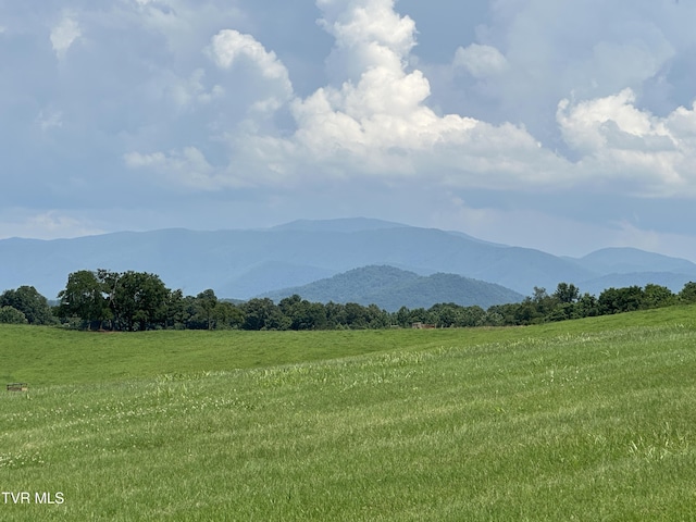 3655 W Allens Bridge Rd, Greeneville, TN 37743 - photo 4