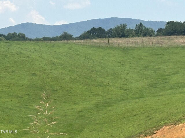 3655 W Allens Bridge Rd, Greeneville, TN 37743 - photo 58