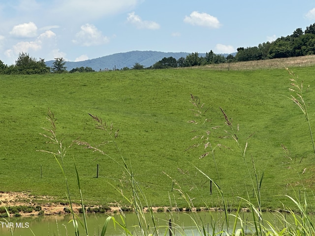3655 W Allens Bridge Rd, Greeneville, TN 37743 - photo 56