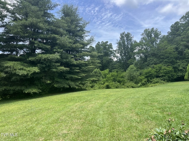 3911 Tate Springs Rd, Big Stone Gap, VA 24219 - view of green lawn featuring a view of trees