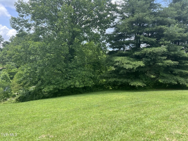 3911 Tate Springs Rd, Big Stone Gap, VA 24219 - view of green lawn
