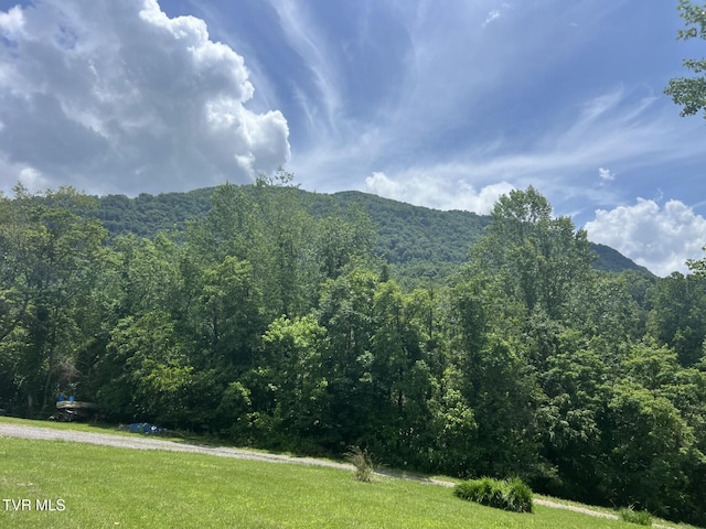 3911 Tate Springs Rd, Big Stone Gap, VA 24219 - view of mountain background featuring a heavily wooded area