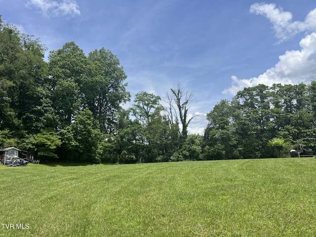 3911 Tate Springs Rd, Big Stone Gap, VA 24219 - view of grassy yard