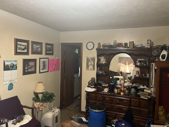 3911 Tate Springs Rd, Big Stone Gap, VA 24219 - bedroom with a textured ceiling