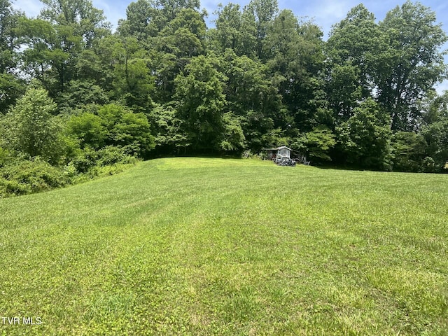 3911 Tate Springs Rd, Big Stone Gap, VA 24219 - view of green lawn