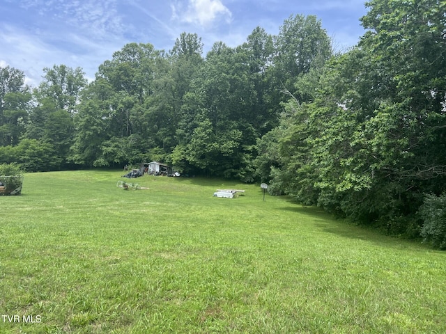 3911 Tate Springs Rd, Big Stone Gap, VA 24219 - view of green lawn with a view of trees