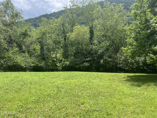 3911 Tate Springs Rd, Big Stone Gap, VA 24219 - view of green lawn with a view of trees
