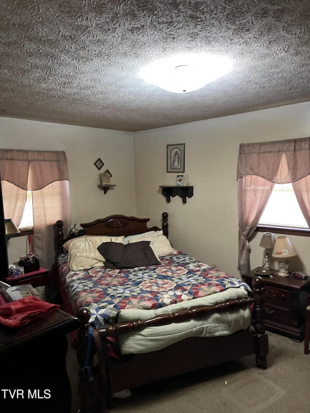 3911 Tate Springs Rd, Big Stone Gap, VA 24219 - photo 25