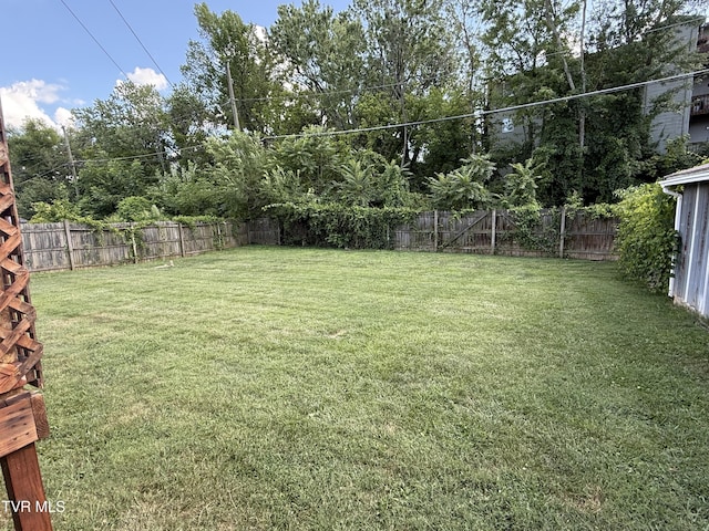 1317 Garden Dr, Kingsport, TN 37664 - photo 22