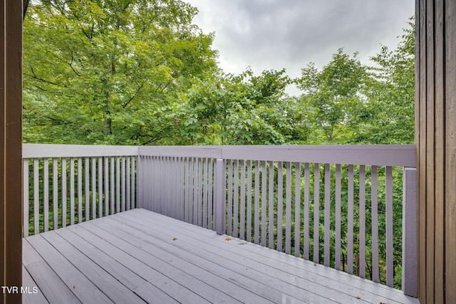 4035 Lakewood Dr, Kingsport, TN 37663 - photo 30