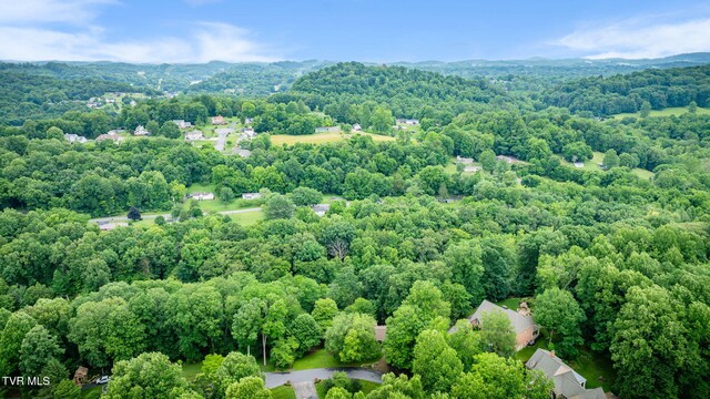 4035 Lakewood Dr, Kingsport, TN 37663 - photo 49