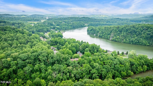 4035 Lakewood Dr, Kingsport, TN 37663 - photo 50