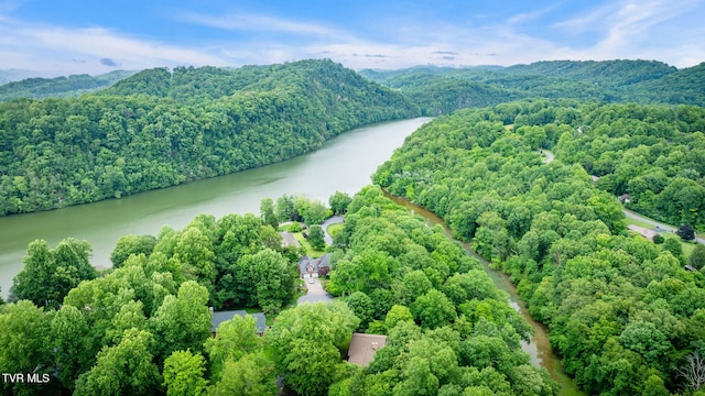 4035 Lakewood Dr, Kingsport, TN 37663 - photo 51