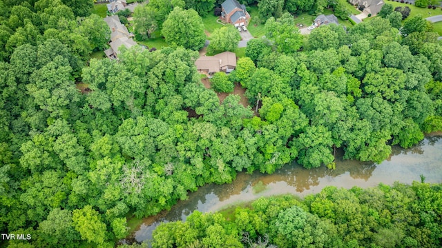 4035 Lakewood Dr, Kingsport, TN 37663 - photo 52