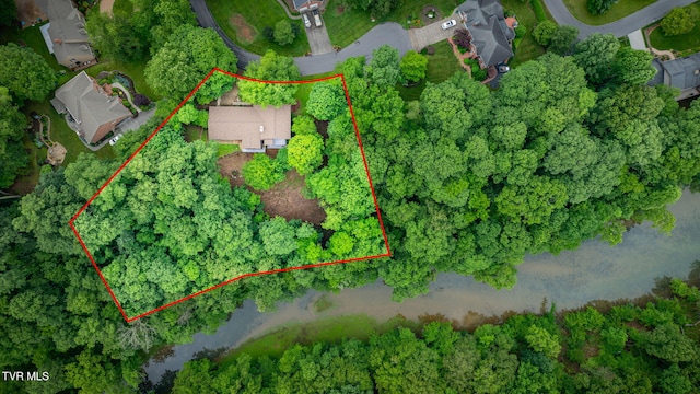 4035 Lakewood Dr, Kingsport, TN 37663 - photo 47