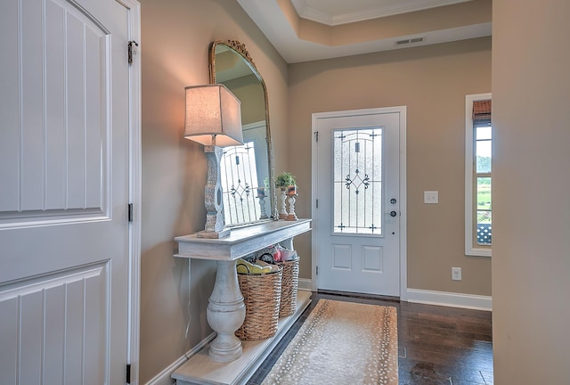 3309 Murrayfield Way, Kingsport, TN 37664 - entrance foyer with plenty of natural light and hardwood / wood-style flooring