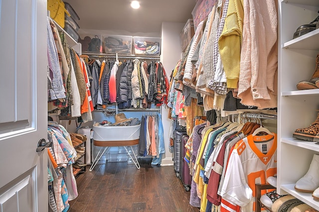 3309 Murrayfield Way, Kingsport, TN 37664 - spacious closet featuring wood finished floors