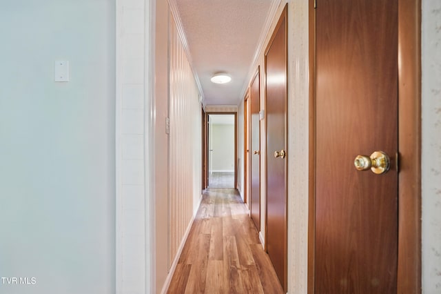 271 Anderson St, Pennington Gap, VA 24277 - hallway with light wood-type flooring, a textured ceiling, and attic access