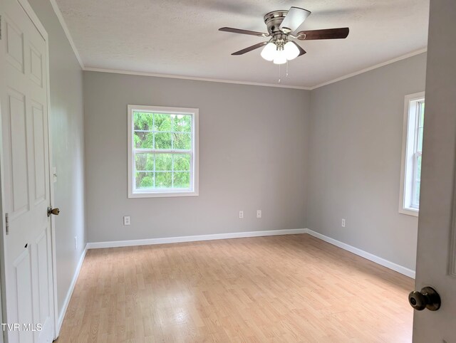 950 Kingsport Hwy, Greeneville, TN 37745 - photo 16