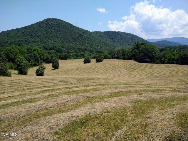 8512 Asheville Hwy, Greeneville, TN 37743 - photo 61
