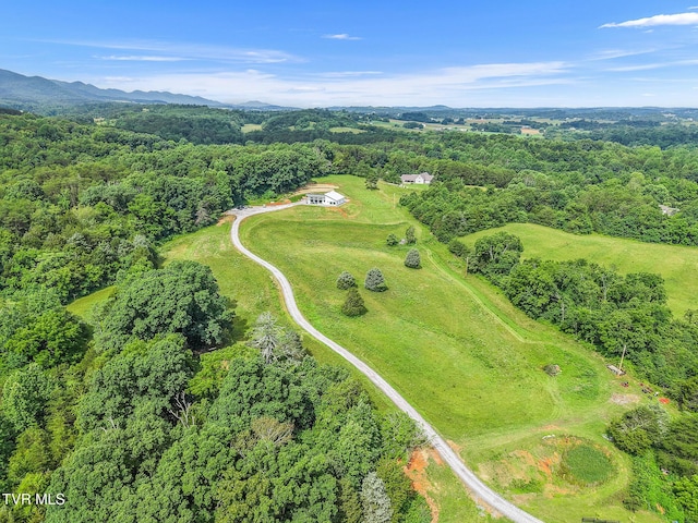 8512 Asheville Hwy, Greeneville, TN 37743 - photo 66