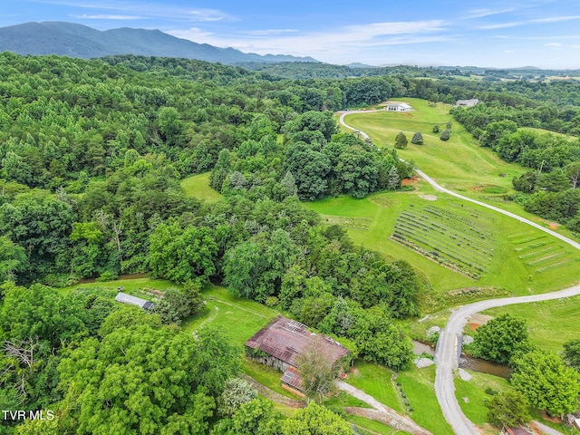 8512 Asheville Hwy, Greeneville, TN 37743 - photo 68
