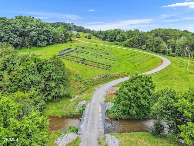 8512 Asheville Hwy, Greeneville, TN 37743 - photo 72