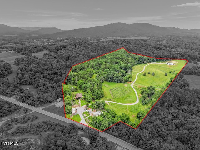 8512 Asheville Hwy, Greeneville, TN 37743 - photo 73