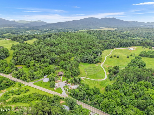 8512 Asheville Hwy, Greeneville, TN 37743 - photo 74