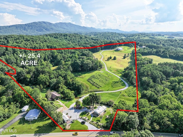 8512 Asheville Hwy, Greeneville, TN 37743 - photo 76