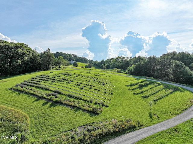 8512 Asheville Hwy, Greeneville, TN 37743 - photo 84