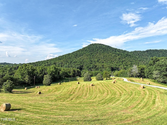 8512 Asheville Hwy, Greeneville, TN 37743 - photo 88