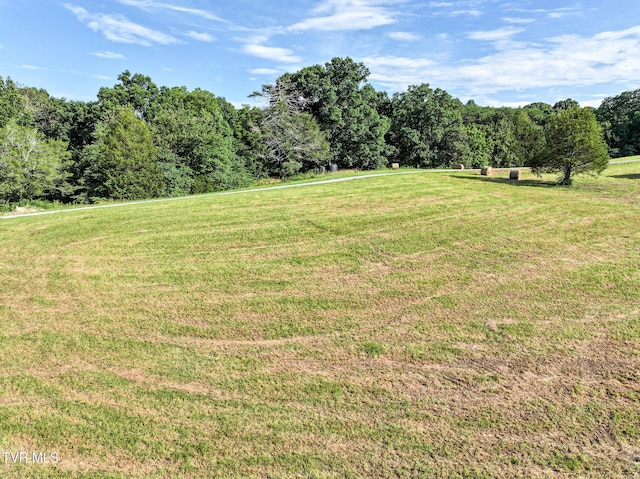 8512 Asheville Hwy, Greeneville, TN 37743 - photo 97