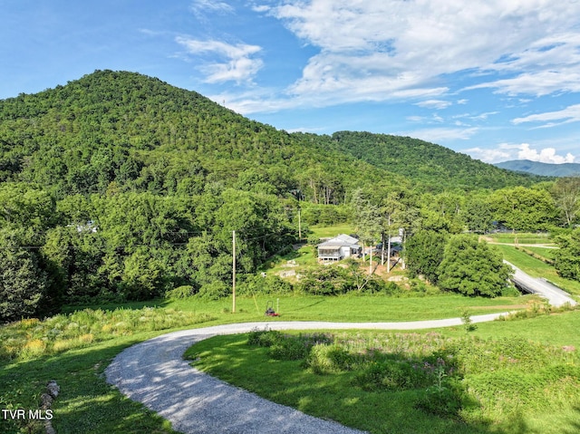 8512 Asheville Hwy, Greeneville, TN 37743 - photo 98