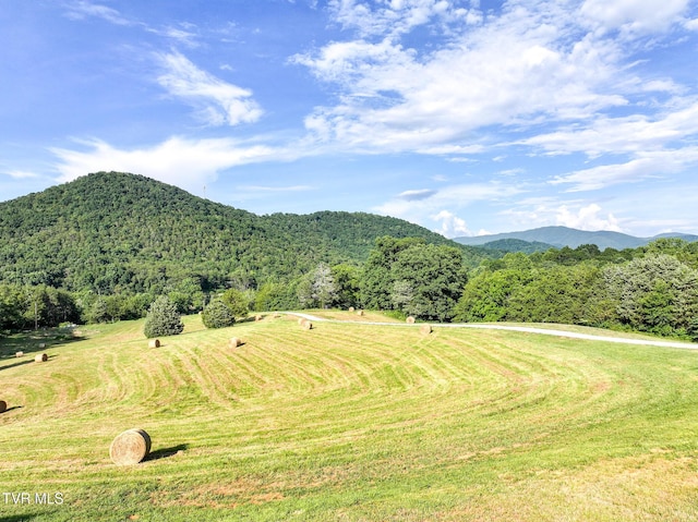 8512 Asheville Hwy, Greeneville, TN 37743 - photo 102