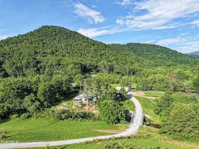 8512 Asheville Hwy, Greeneville, TN 37743 - photo 103