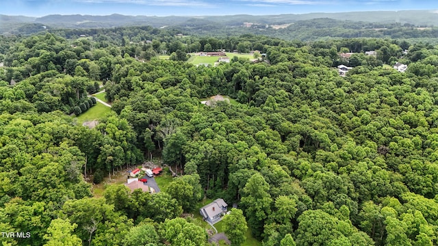 8445 Pendleton Rd, Wise, VA 24293 - aerial view of a forest and mountains