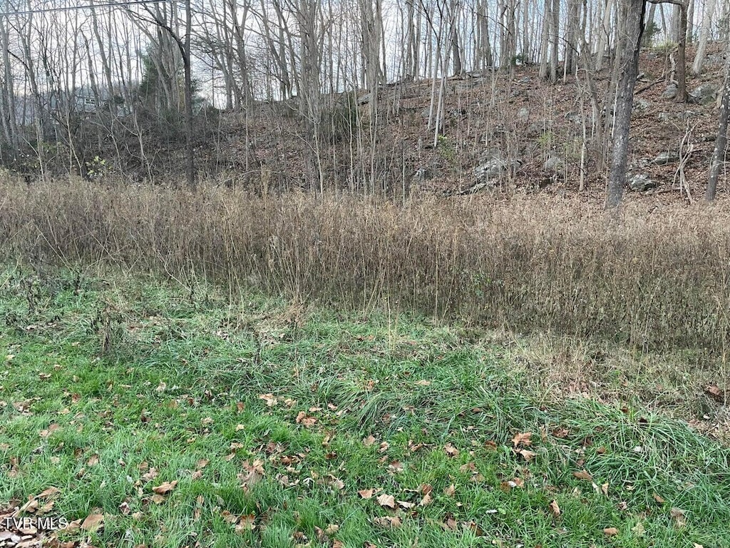 TBD Greenbrook Cir, Unicoi, TN 37692 - photo 3