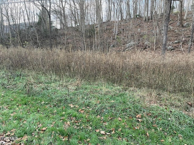 TBD Greenbrook Cir, Unicoi, TN 37692 - photo 3