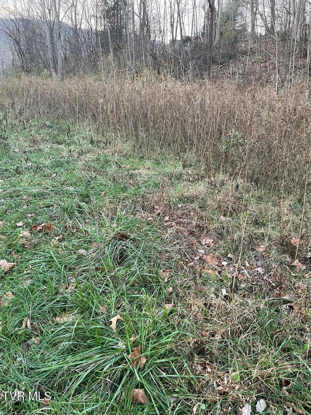TBD Greenbrook Cir, Unicoi, TN 37692 - photo 4