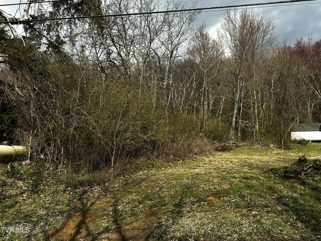 1042 W Vann Rd, Greeneville, TN 37743 - photo 1