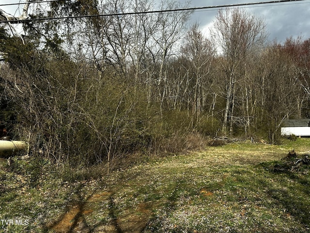 1042 W Vann Rd, Greeneville, TN 37743 - photo 1
