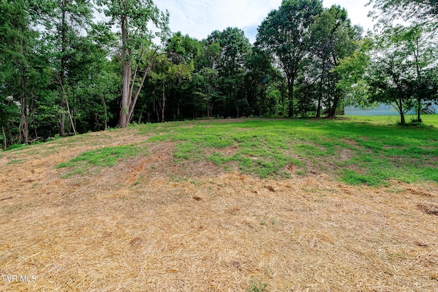 210 Wadlow Gap Rd, Kingsport, TN 37660 - photo 61