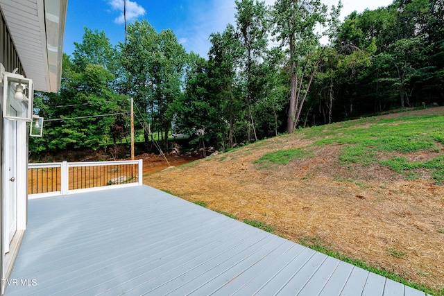 210 Wadlow Gap Rd, Kingsport, TN 37660 - photo 62