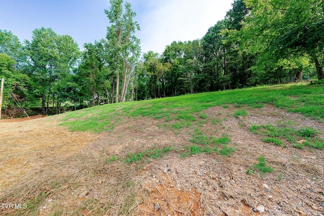 210 Wadlow Gap Rd, Kingsport, TN 37660 - photo 52
