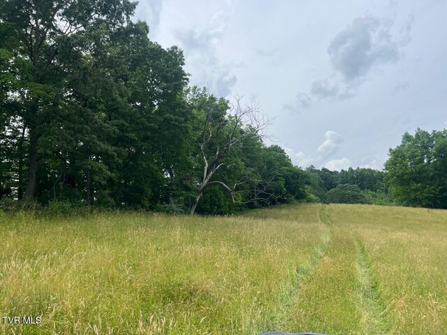 00 Manville Rd, Gate City, VA 24251 - photo 7