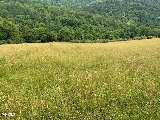 00 Manville Rd, Gate City, VA 24251 - photo 8