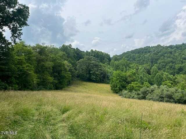 00 Manville Rd, Gate City, VA 24251 - photo 9
